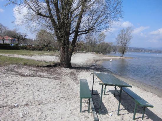 Lake Maggiore 2 Minutes Apartment Dormelletto Exterior photo